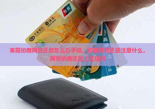 耒阳协商网贷还款怎么办