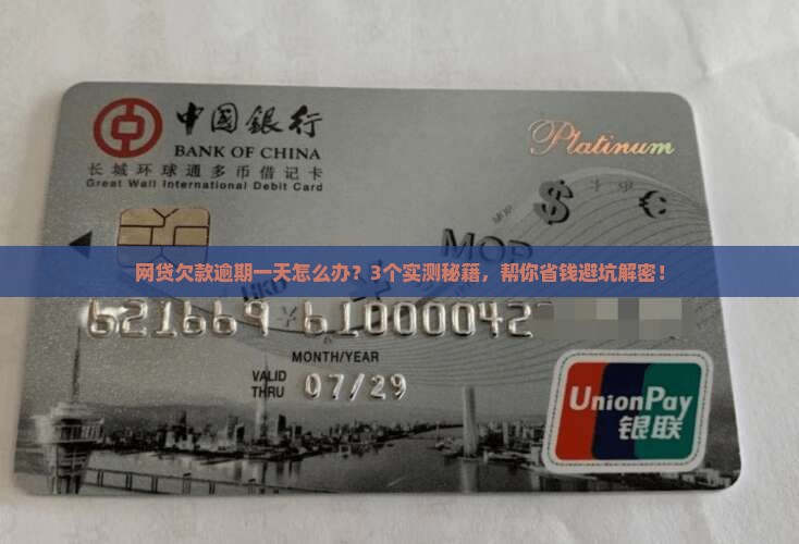 网贷欠款逾期一天怎么办