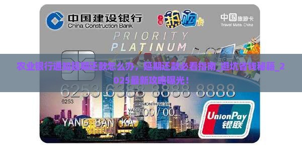 农业银行通知延期还款怎么办