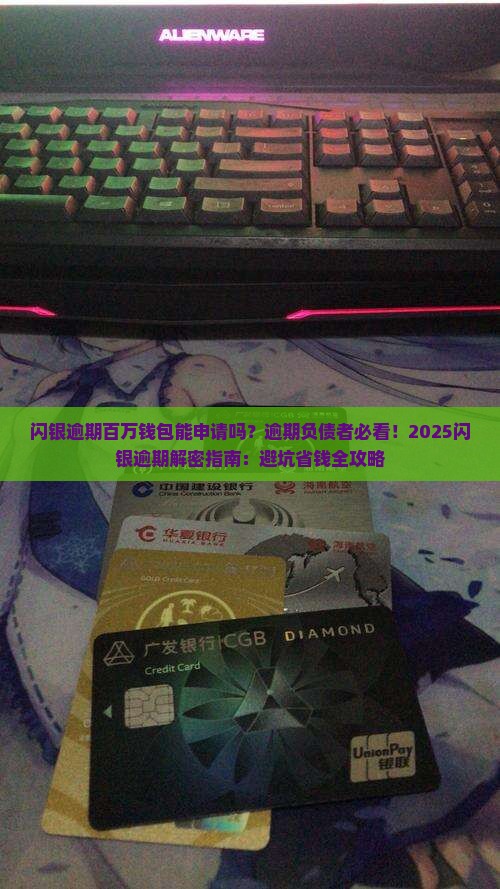 闪银逾期百万钱包能申请吗