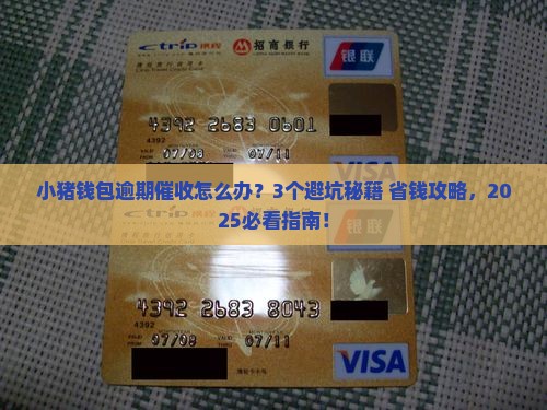 小猪钱包逾期催收注意事项
