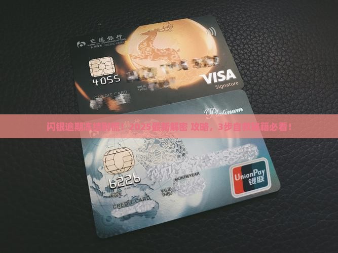 闪银逾期冻结解决方法