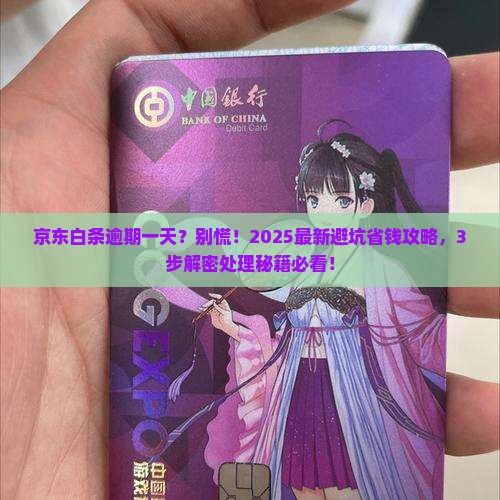 京东白条欠款逾期了一天怎么处理