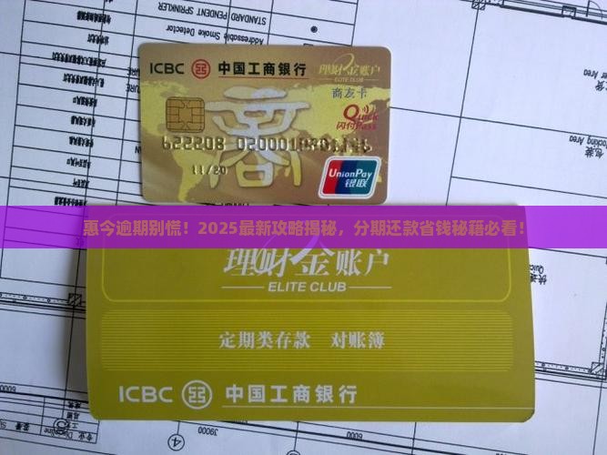 惠今逾期可以分期还款吗