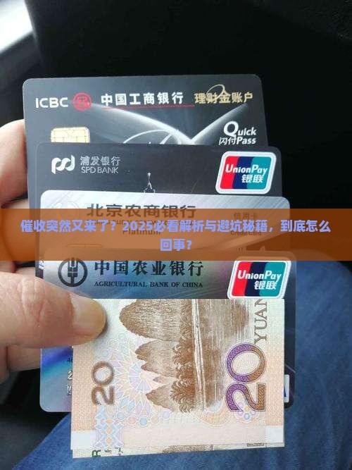 催收怎么一下又开始催了