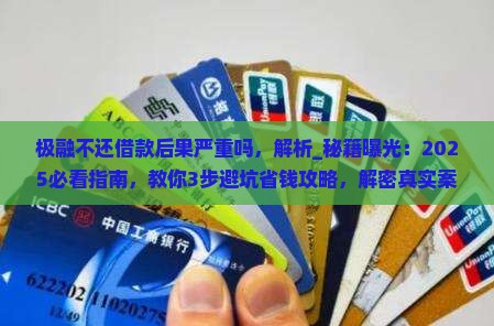 极融不还借款后果严重吗