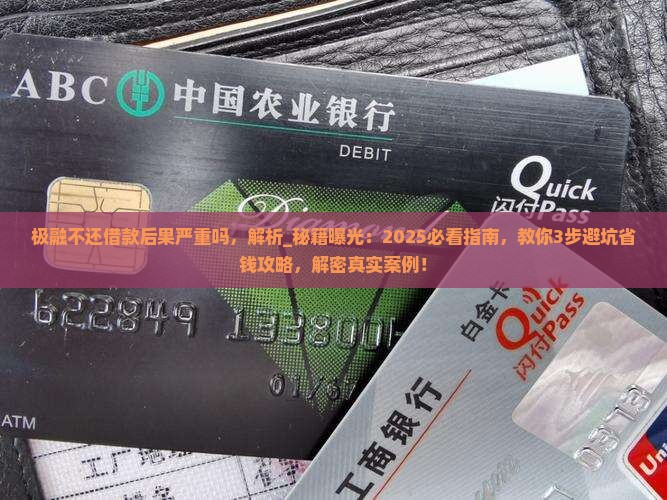 极融不还借款后果严重吗