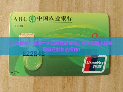 逾期一天白条怎么还最低