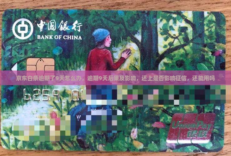 京东白条逾期了9天怎么办