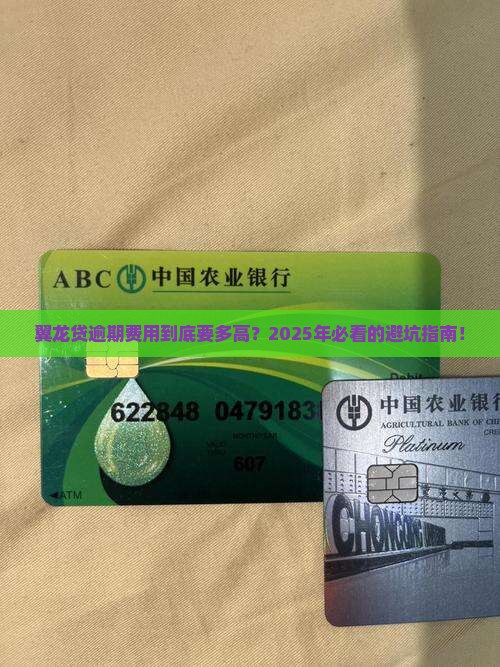 翼龙贷逾期加费用合理性分析 翼龙贷逾期加费用合理性分析