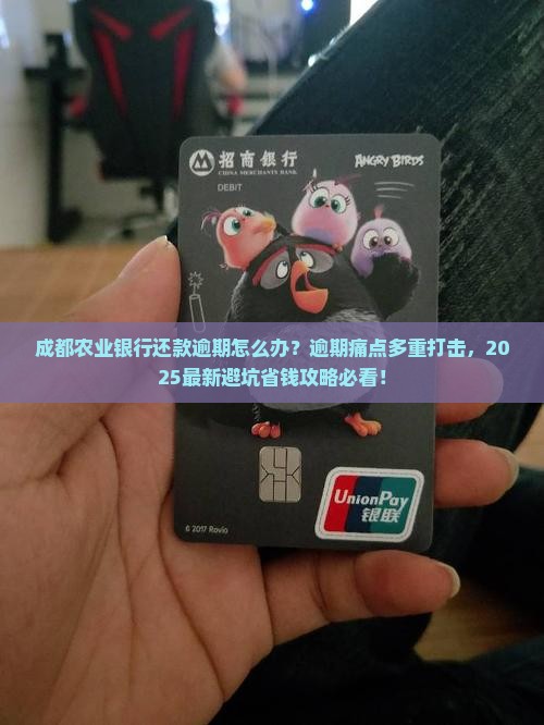 成都农业银行还款逾期