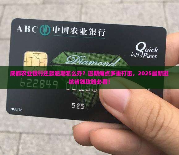 成都农业银行还款逾期