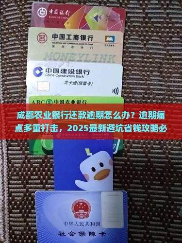 成都农业银行还款逾期