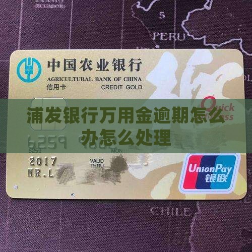 浦发银行万用金逾期还款怎么办