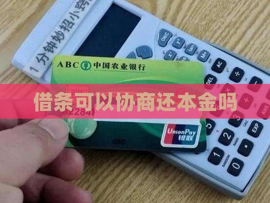 借条可以协商还本金吗