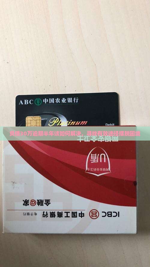 负债30万逾期半年该如何解决