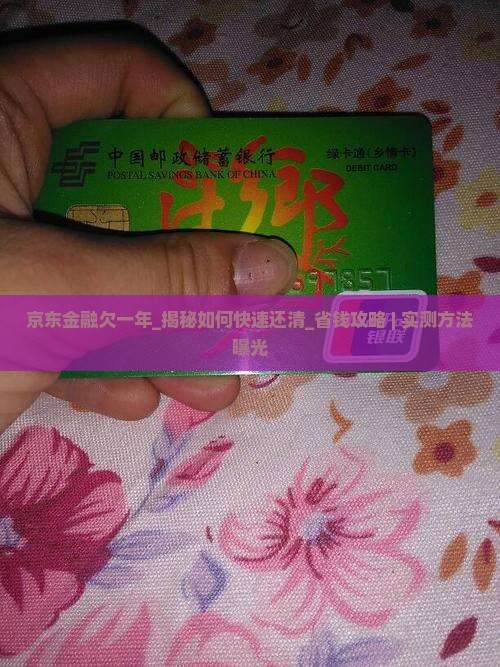 京东金融欠一年