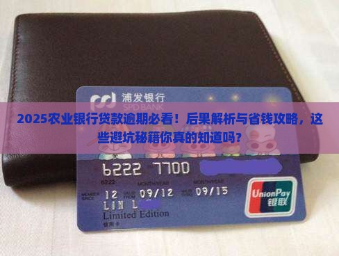 农业银行贷款逾期有什么后果