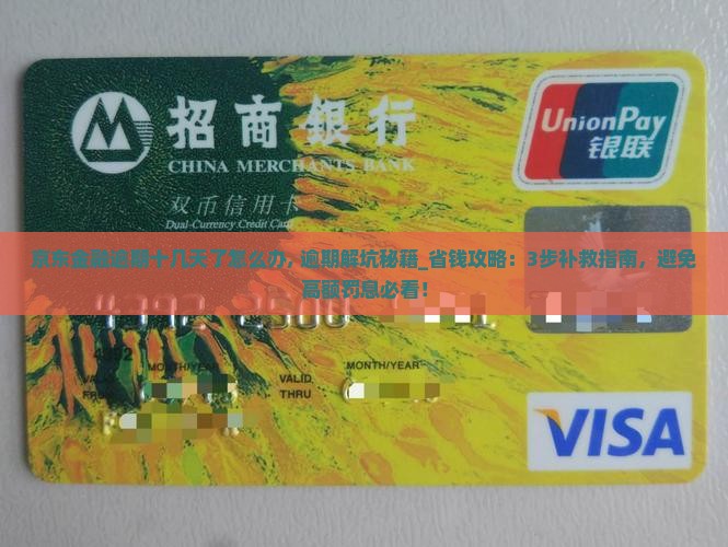 京东金融逾期十几天了怎么办