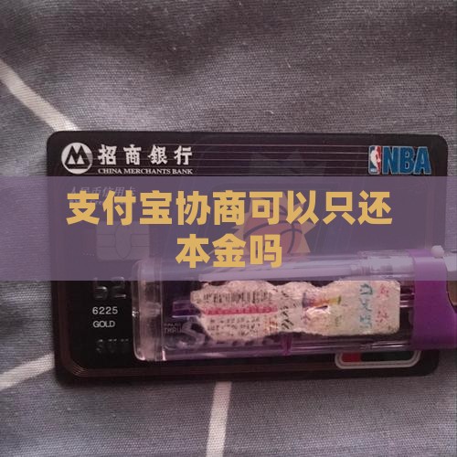 支付宝协商可以只还本金吗