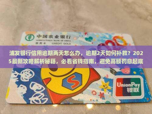 浦发银行信用逾期两天怎么办