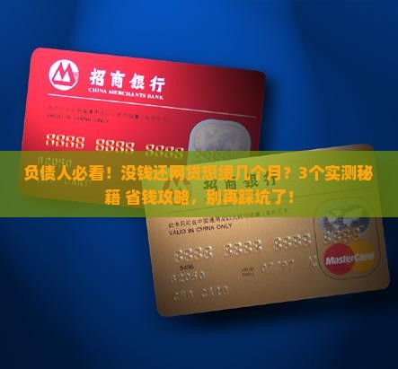 没钱还网贷可以暂缓几个月如何操作