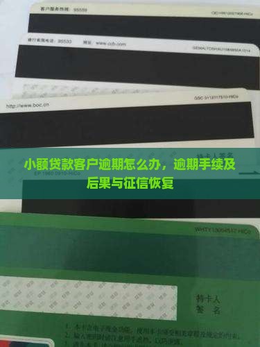 小额贷款客户逾期怎么办