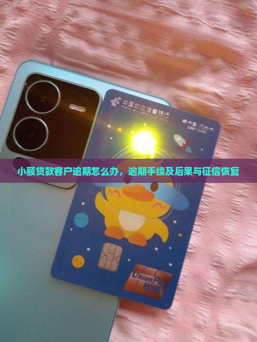 小额贷款客户逾期怎么办