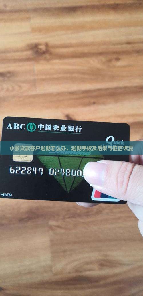 小额贷款客户逾期怎么办