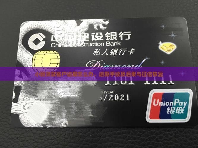 小额贷款客户逾期怎么办