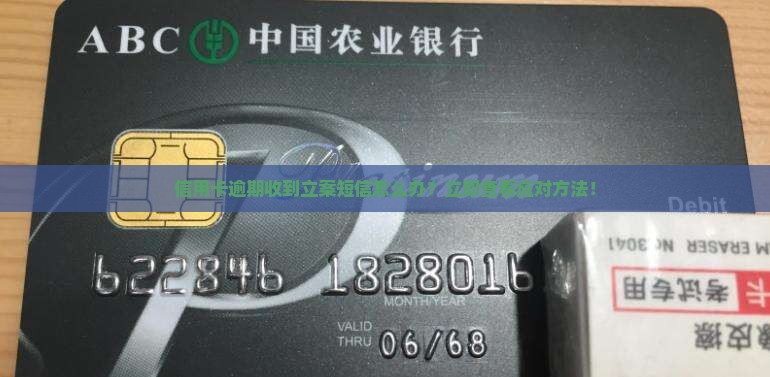 信用卡逾期收到立案短信怎么办