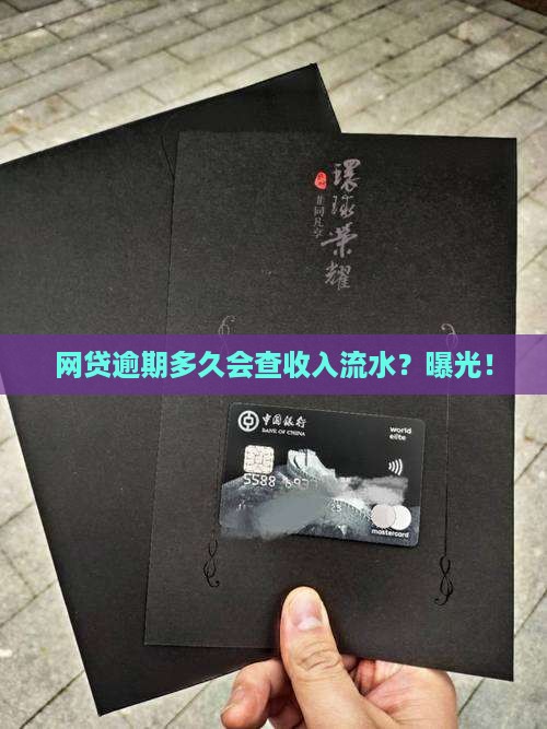 网贷逾期多久会查收入流水