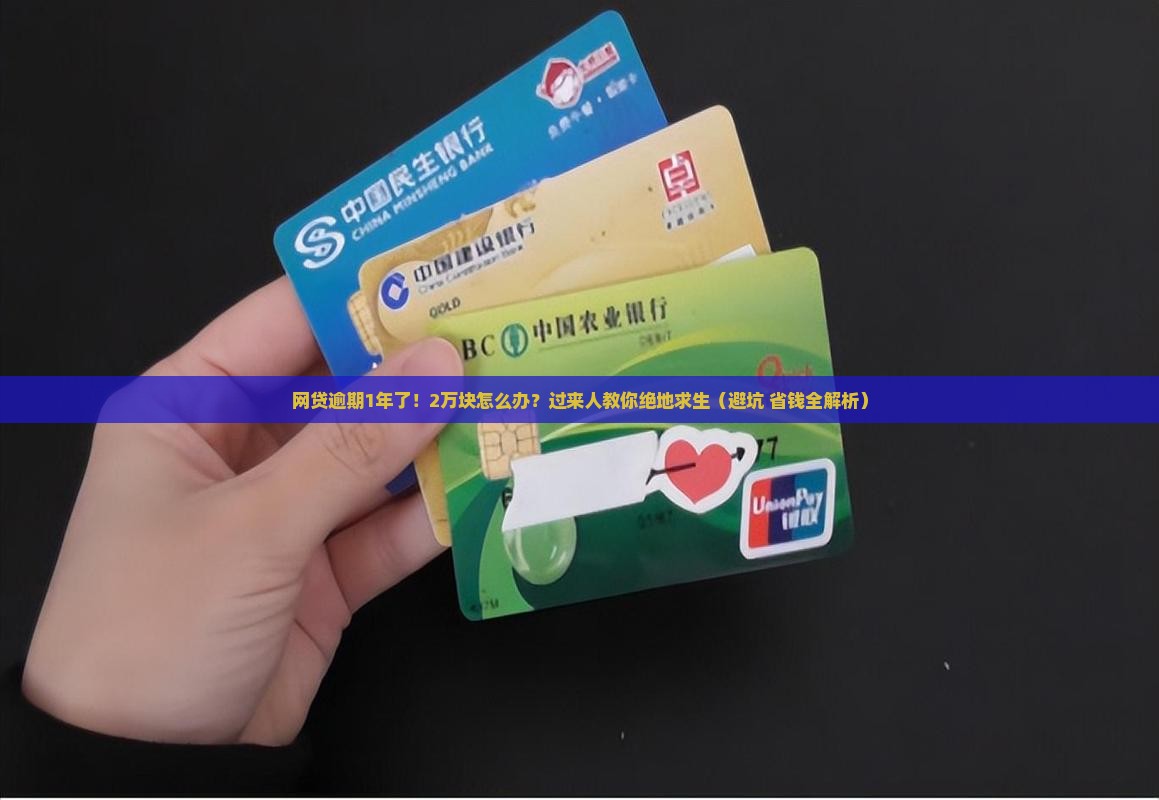 网贷来分期2万逾期1年如何解决