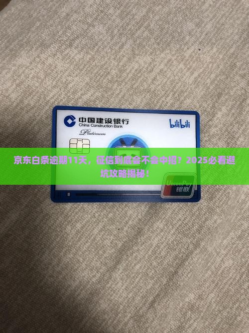 京东白条逾期11天会上征信吗