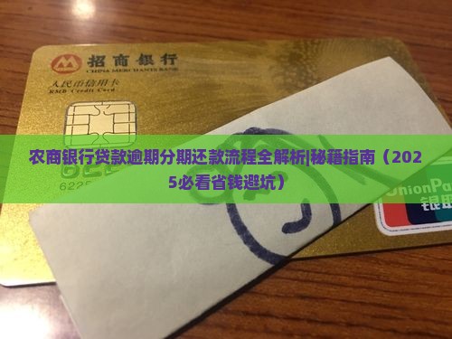 农商银行贷款逾期分期还款流程