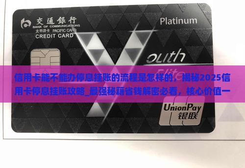 信用卡能不能办停息挂账的流程是怎样的