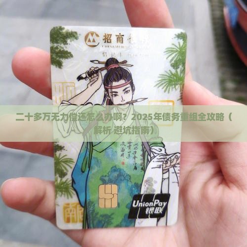 二十多万无力偿还怎么办啊