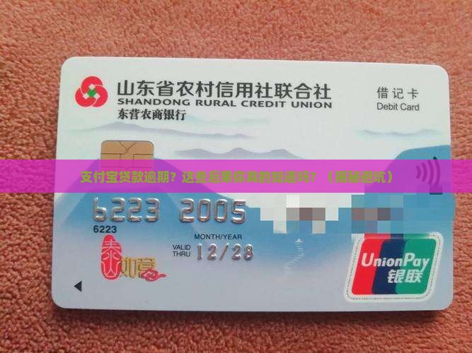 支付宝贷款逾期四大后果详解