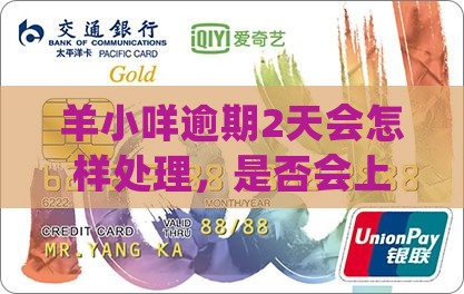 羊小咩逾期2天会怎样处理