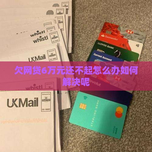 欠网贷6万元还不起怎么办如何解决