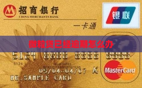 微粒贷已经逾期怎么办
