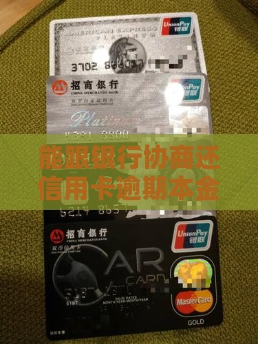 能跟银行协商还本金吗如何合理还款