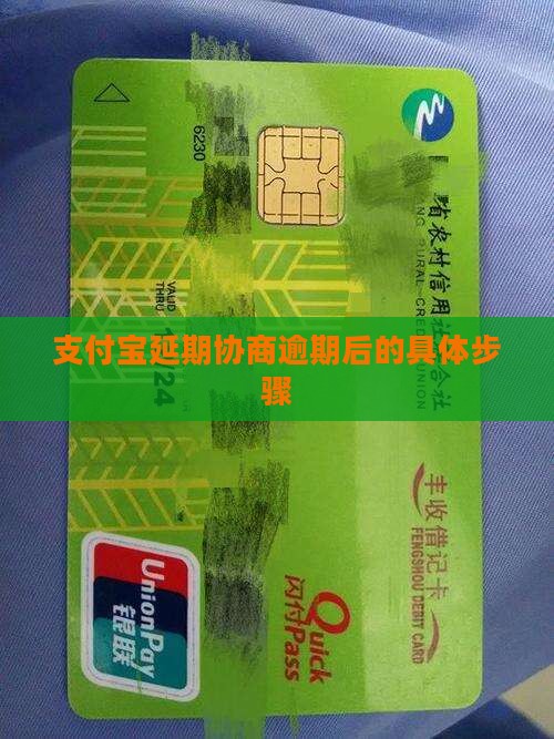 支付宝延期协商的具体步骤