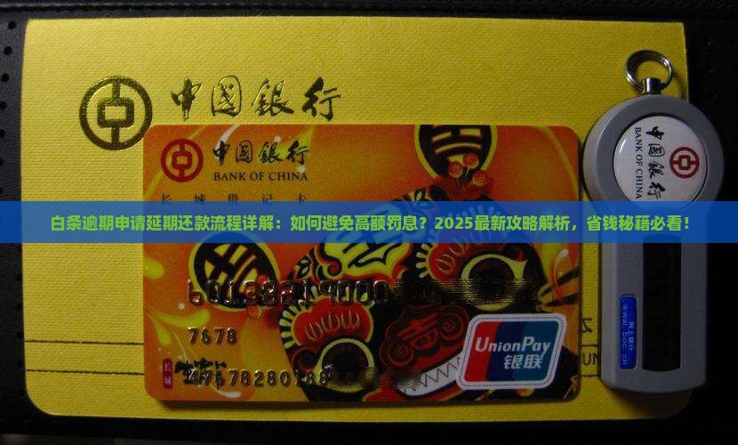 白条逾期申请延期还款流程详解