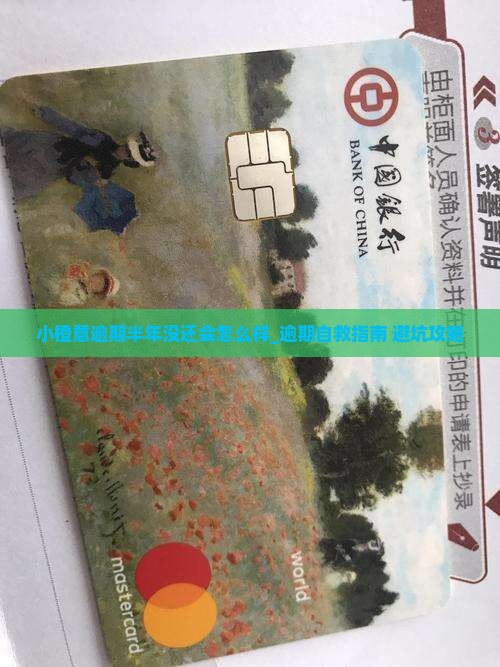 小橙意逾期半年没还会怎么样 小橙意逾期半年没还会怎么样
