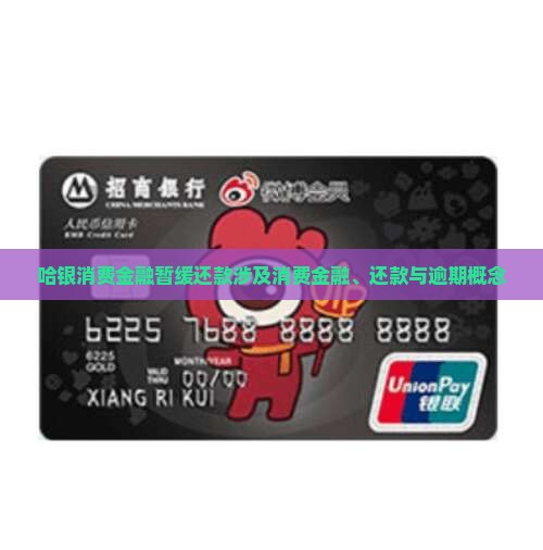 哈银消费金融暂缓还款是什么概念