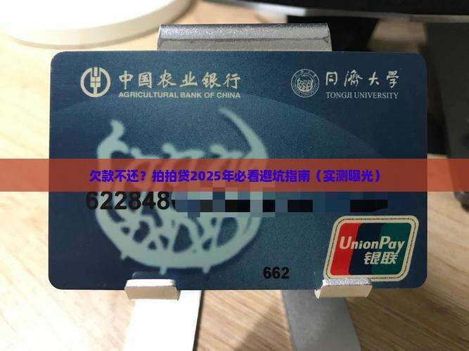 拍拍贷欠款不还后果怎样