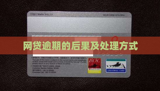 网贷逾期的后果及处理方式