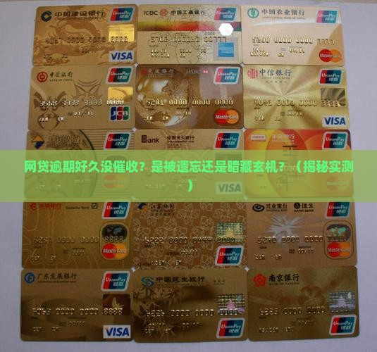 网贷逾期长期没有催收