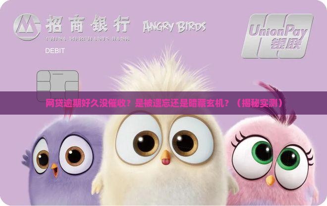 网贷逾期长期没有催收